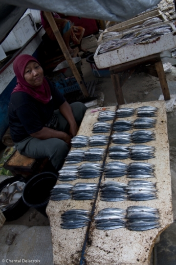 Bali-Marcheaupoisson-21