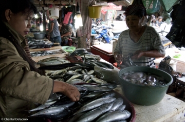 Bali-Marcheaupoisson-24