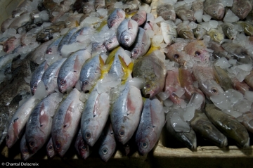 Bali-Marcheaupoisson-25