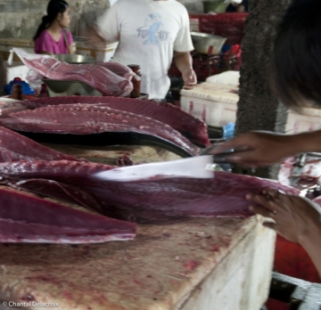 Bali-Marcheaupoisson-26