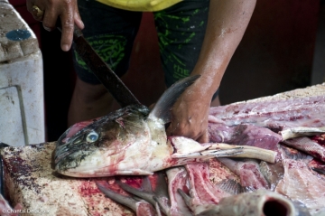 Bali-Marcheaupoisson-27