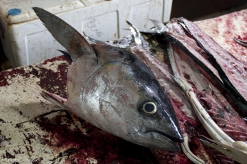 Bali-Marcheaupoisson-28