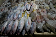 Bali-Marcheaupoisson-25 Bali-Marcheaupoisson-25