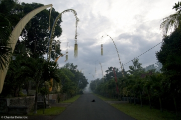Bali-Noel-10