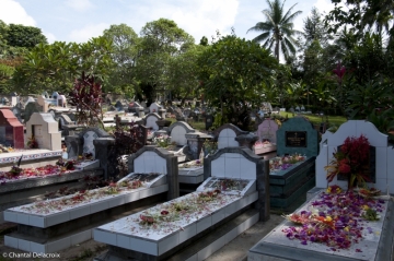 Bali-Noel-18