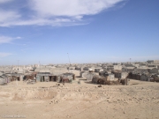 Maur-056