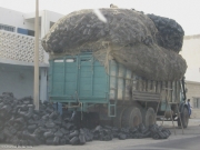 Maur-060