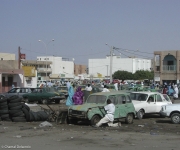 Maur-066