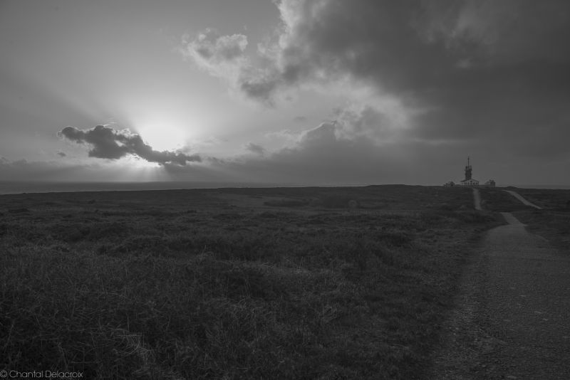 CD-220218-155 CD-220218-155