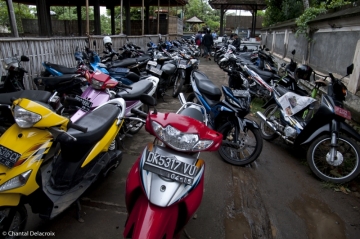 Bali-Scooters-10