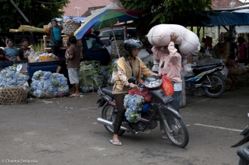 Bali-Scooters-13
