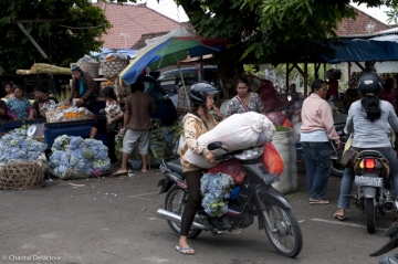 Bali-Scooters-14