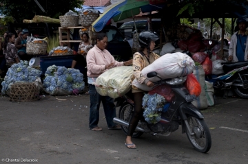 Bali-Scooters-15