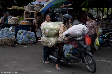 Bali-Scooters-16