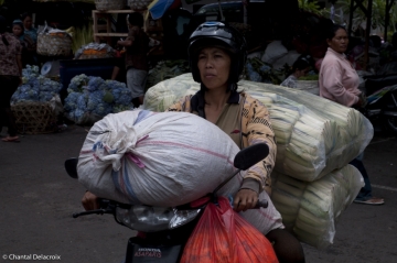 Bali-Scooters-17