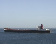 Maur-028