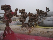 Maur-030