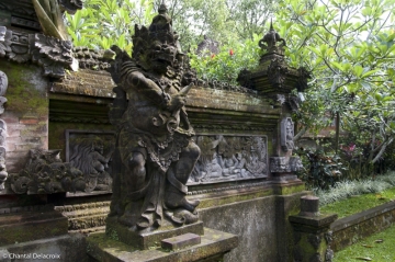 Bali-Temples-14