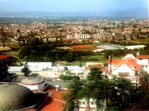 bursa